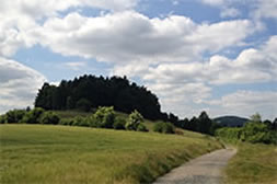 Blick auf den Adamsberg